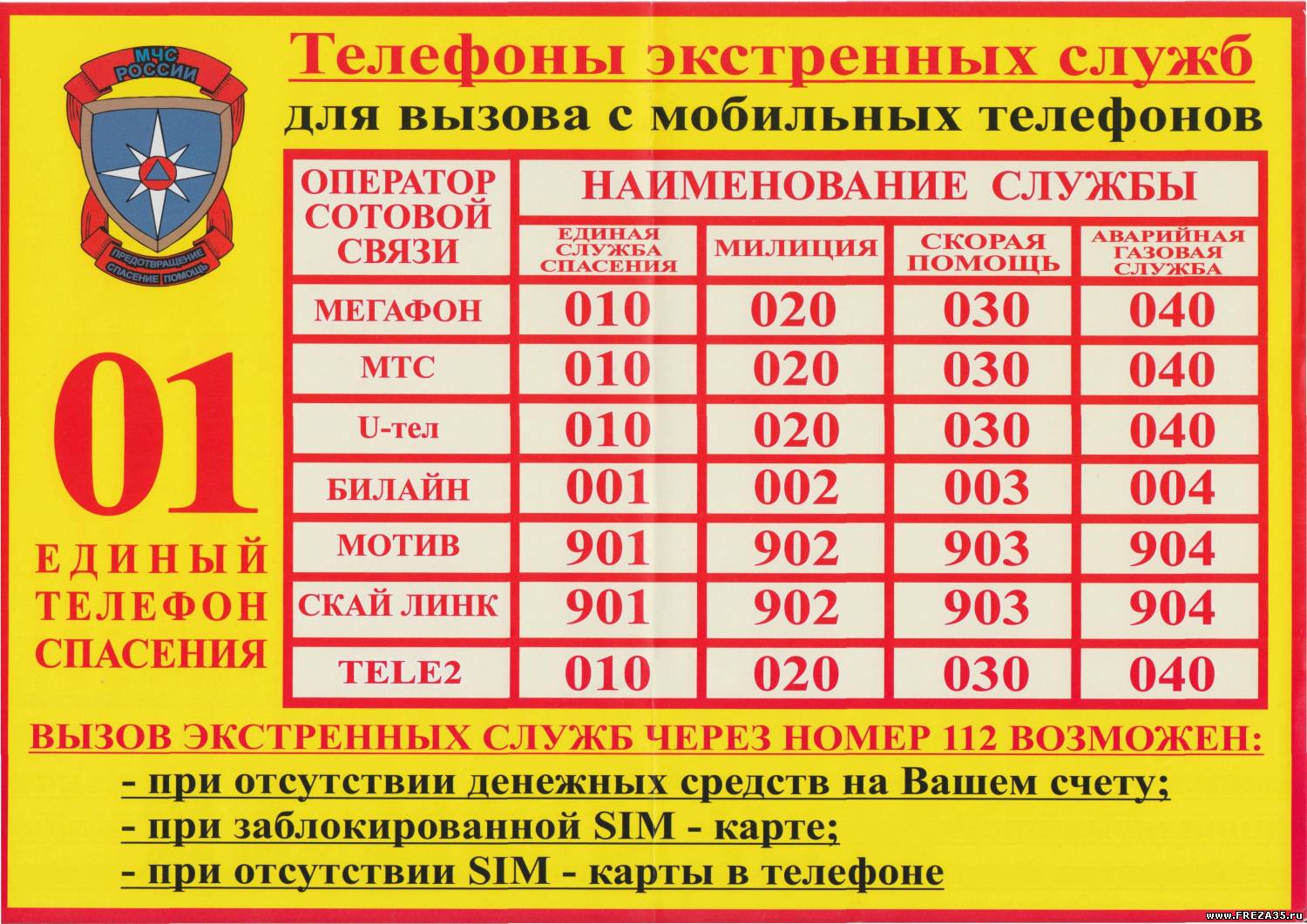 32597923.jpg